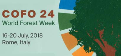 COFO 24 | World Forest Week